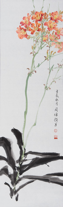 Blackberry Lily - 2012