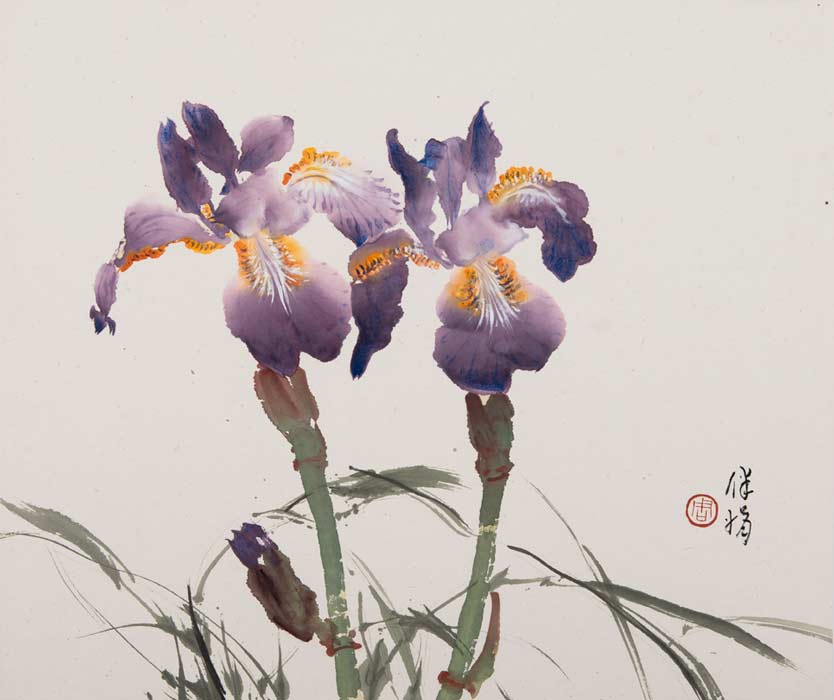Iris - 2000