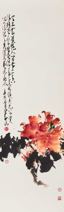 Peony Beauty Without Equal - 1971