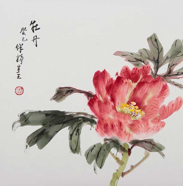 Peony - 2013